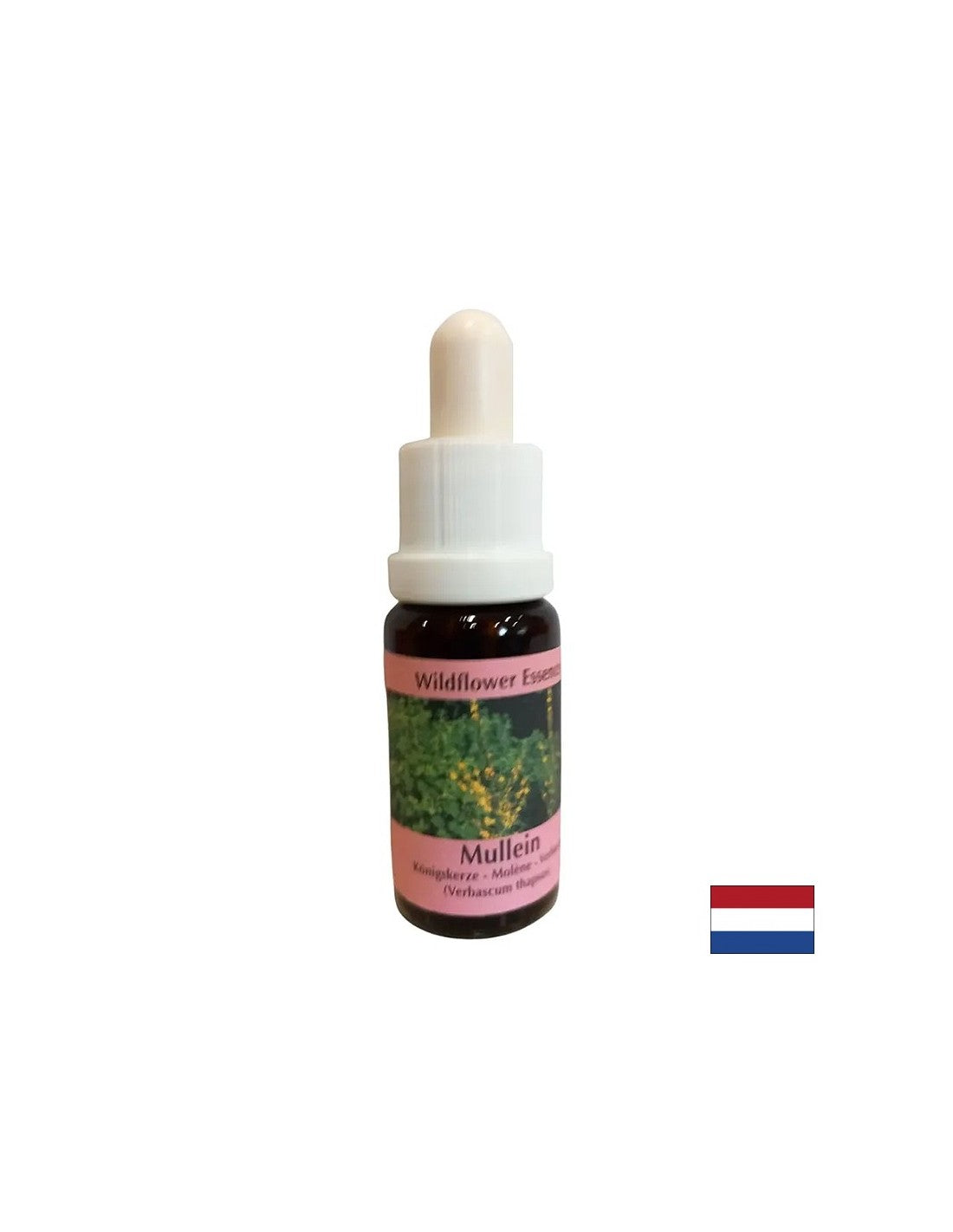Поддържа работа в екип и креативност - Lopen Essence No 29, капки 15 ml