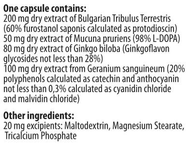Способни мъже 90 капсули