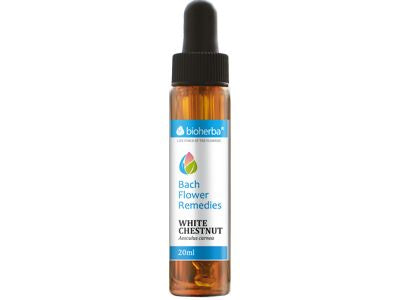 Бах пуска бял кестен 20 ml