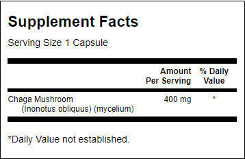 Пълен спектър Chaga гъба 400 mg - 60 капсули