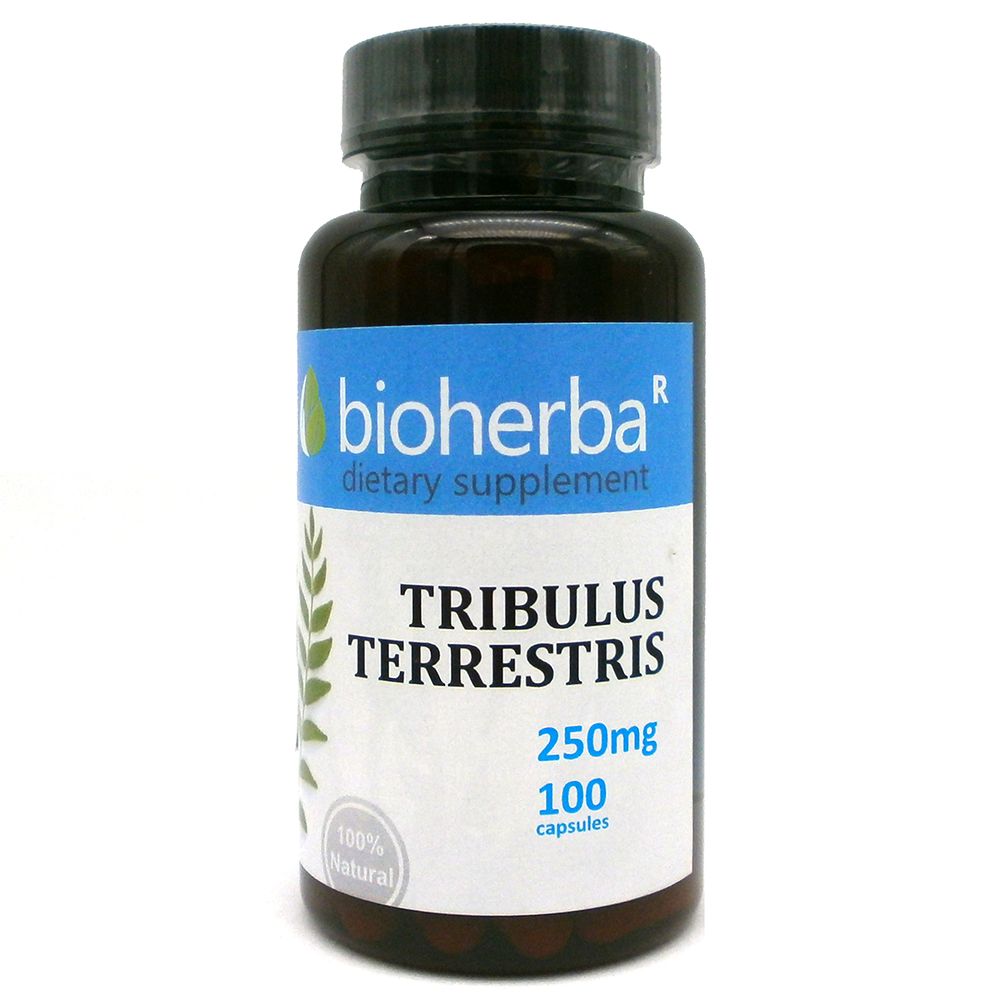 Tribulus terrestris 250 mg - 100 капсули
