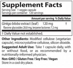 Най -добрата допълнителна сила Ginkgo 120 mg - 120 капсули