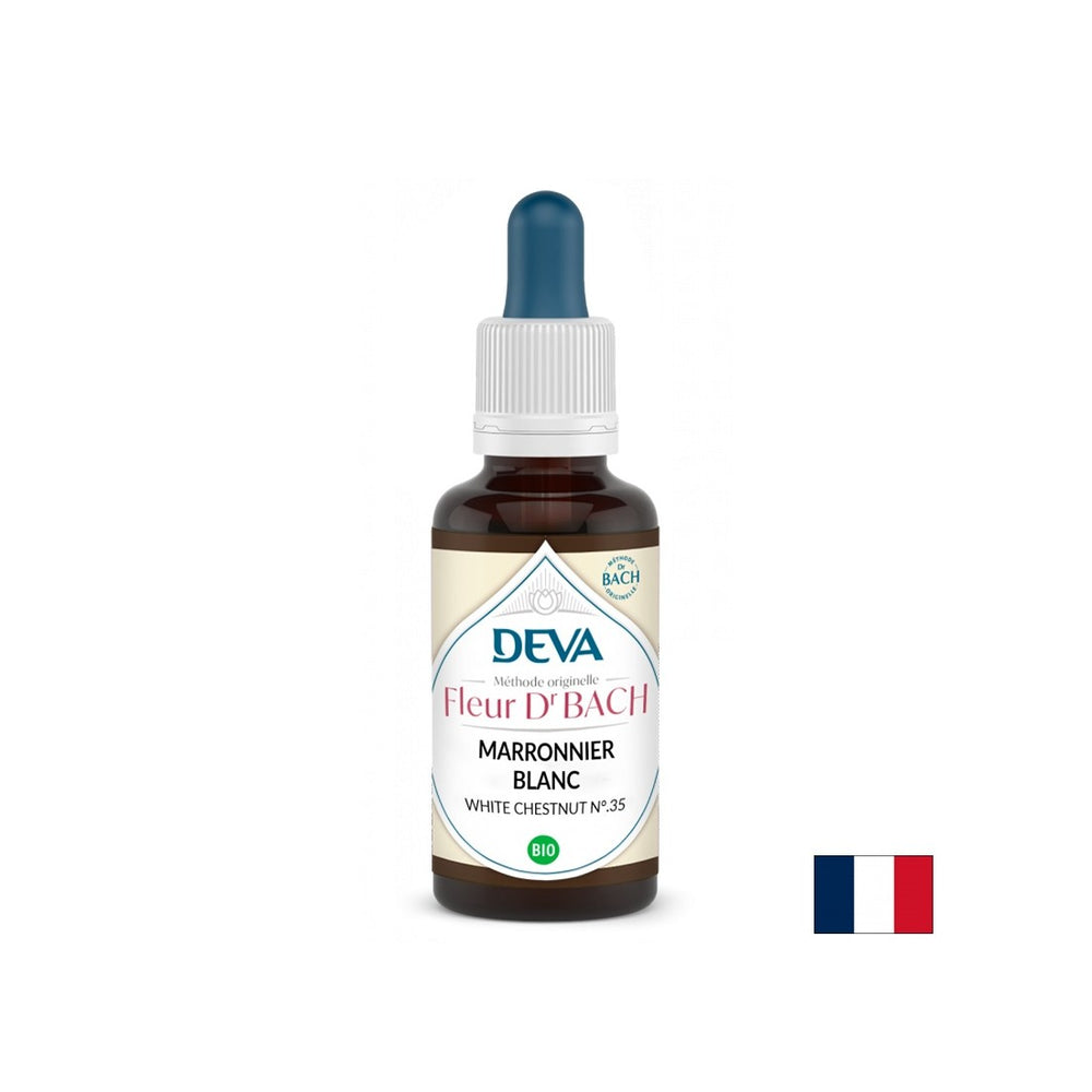 Памет и концентрация - конски кестен, BACH капки № 35, 15 ml