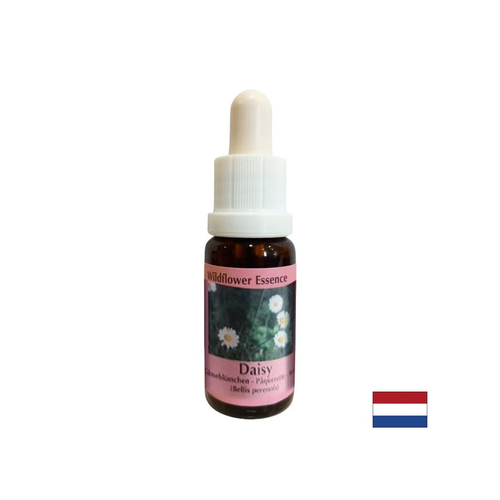 Увеличава капацитета на паметта и ученето - обикновена DAISY ESSENCE № 26, пада 15 ml