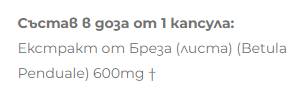 Екстракт от бреза 600 mg - 60 капсули