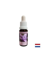 Дава увереност - Гентианска есенция № 12, капки 15 ml