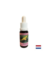Стимулира съзнателната промяна - Есенция Бял имел № 12, капки 15 ml