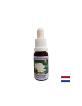 За духовно осъзнаване - Victoria Regia Essence № 20, 15 ml капки