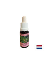 Поддържа работа в екип и креативност - Lopen Essence No 29, капки 15 ml