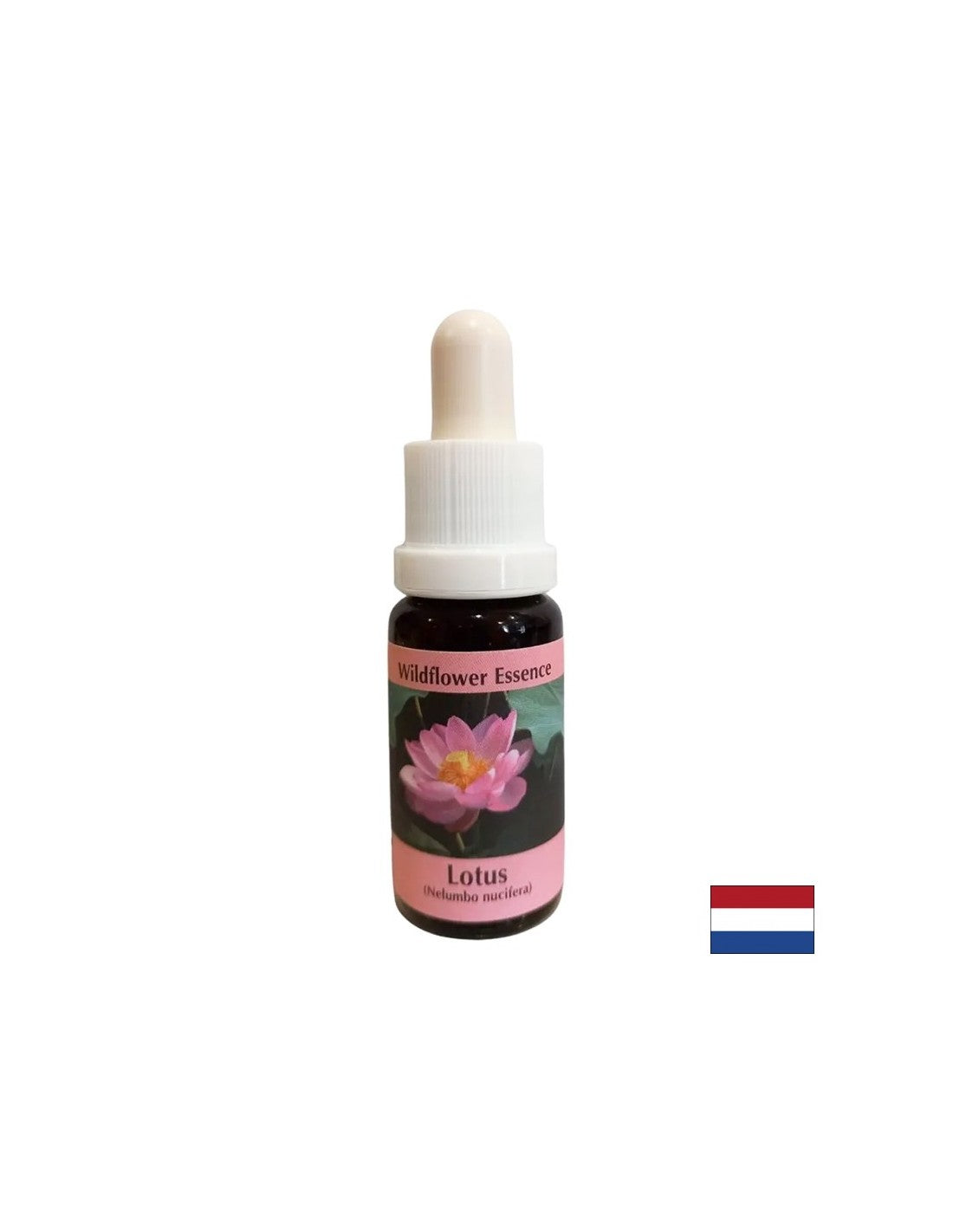 Хармонизира чакрите и отваря ума - Essence Indian Lotus № 30, отпада 15 ml