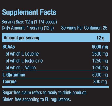 BCAA+глутамин Xpress 0,300 kg
