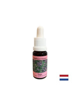 Възстановява ритъма и поддържа адаптацията - Sage Essence No. 36, капки 15 ml