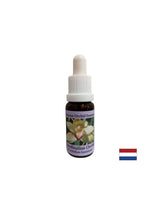Координира лечебните енергии - координиране на есенцията № 8, капки 15 ml