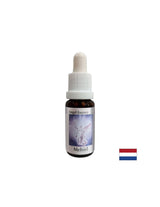 За намиране на правилните думи - Essence Mechiel (Angel Essence No. 16), отпада 15 ml