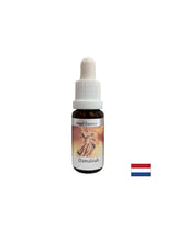 За проблеми в отношенията - Damabia Essence (Angel Essence No. 5), капки 15 ml