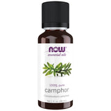 Камфорно масло | 100% чист канелам Camphora - 30 ml
