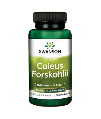 Coleus forskohlii / forskolin 400 mg - 60 капсули