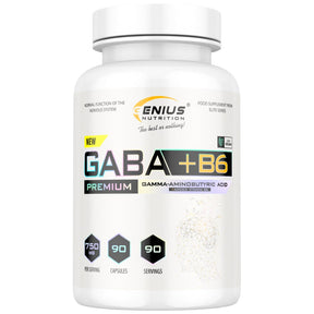 GABA 750 mg + B6 - 90 capsules - Nutra Best Europe