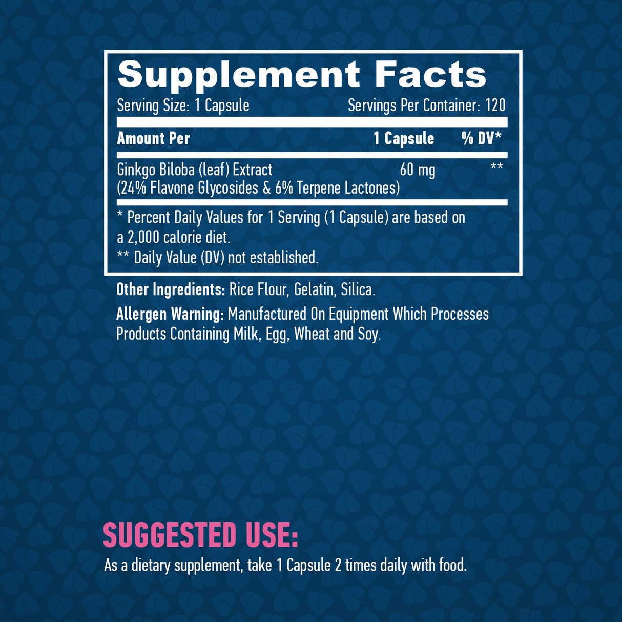 Ginkgo Biloba 60mg. / 120 капачки.