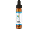 Бах пуска бял кестен 20 ml