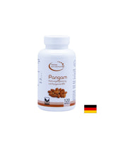 Pangam Nahrungsegänzung Mit Pangamat B15 - Pangam (витамин В15), 120 капсули EL compra
