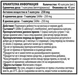 Същите 250 mg - 40 капсули