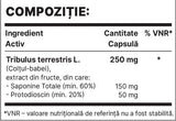 Tribul 250mg | Екстракт от Tribulus Terrestris - 60 капсули