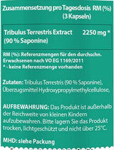 Tribulus terrestris | 90% сапонини - 90 капсули