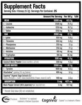 X Neuro | EAA, BCAA & NOOTROPIC - 292.5 грама