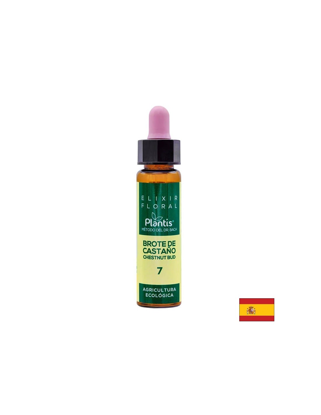 Brote de castaño (Chestnut but) Elixir Floral 7 - Еликсир от цветя на кестенови пъпки, 10 ml Arte<tc>san</tc>ia