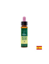 Brote de castaño (Chestnut but) Elixir Floral 7 - Еликсир от цветя на кестенови пъпки, 10 ml Arte<tc>san</tc>ia