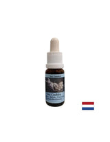 Дава вътрешна сила в нестабилни ситуации - морска есенция № 8, капки 15 ml