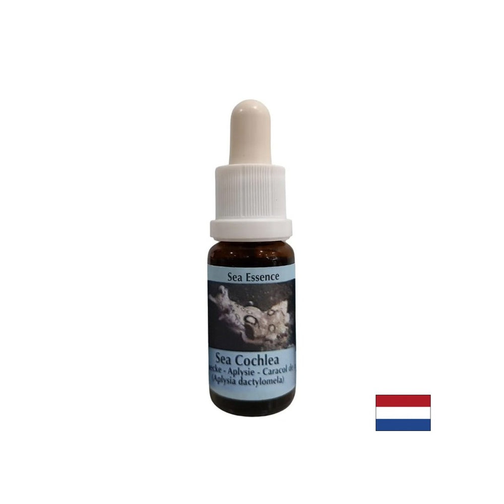 Дава вътрешна сила в нестабилни ситуации - морска есенция № 8, капки 15 ml
