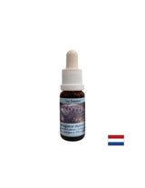 Детоксикация - Essence Physalia (португалска галера) № 4, капки 15 ml