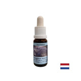 Детоксикация - Essence Physalia (португалска галера) № 4, капки 15 ml