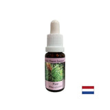 Когато се чувствате виновни - Essence Boron No. 24, отпада 15 ml