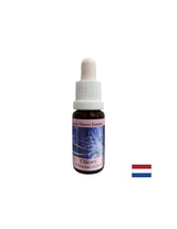 За да се съсредоточите върху себе си - Cicory Essence № 8, капки 15 ml