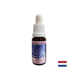 За да се съсредоточите върху себе си - Cicory Essence № 8, капки 15 ml