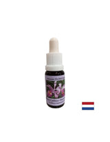 Разбира цикъла на изобилието и желанието да се даде - Cattleya Essence № 10, пада 15 ml