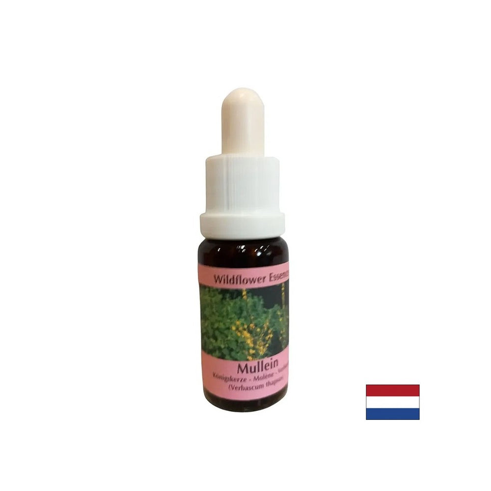 Поддържа работа в екип и креативност - Lopen Essence No 29, капки 15 ml