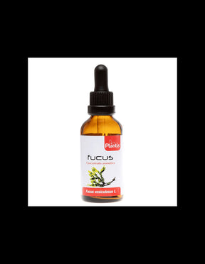 Fucus/ Fucus - bubbly algae (tincture)/ For iodine deficiency, 50 ml Artesania - Nutra Best Europe