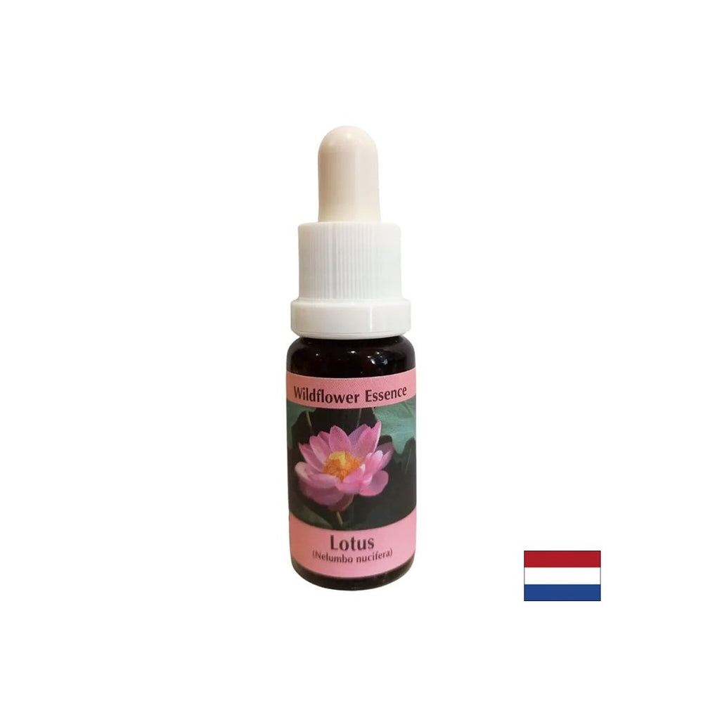 Хармонизира чакрите и отваря ума - Essence Indian Lotus № 30, отпада 15 ml