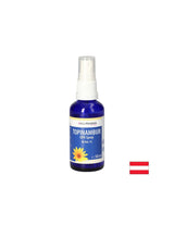 Храносмилателна система - Jerusalem Artichoke, 108 mg x 50 ml, спрей