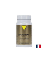 Красива кожа - Phyto Ceramides Lipowheat ™, 350 mg x 30 капсули