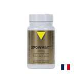Красива кожа - Phyto Ceramides Lipowheat ™, 350 mg x 30 капсули