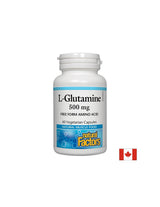 За чревната бариера и мускулната функция - L-глутамин, 500 mg, 60 капсули <tc>Natural Factors</tc>