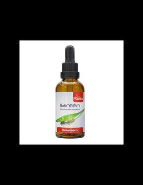 Llantén/ Broad-leaf plantain (tincture)/ For coughs and problems with the respiratory system, 50ml Artesania - Nutra Best Europe
