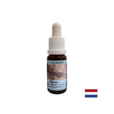 Поддържа интуиция и споделяне на емоции - Essence Sea Dog № 5, капки 15 ml