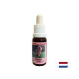 Поддържа концентрация и фокус - Bloodroot Essence № 28, капки 15 ml