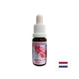 Когато се притеснявате за другите - Red Horse Chestnut Essence № 25, капки 15 ml